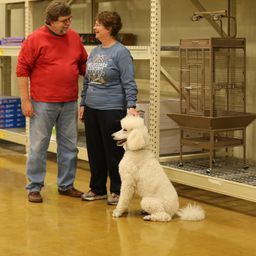 photograph by PeterW